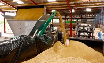 Grain Crimpers & Dry Grain Roller Mills