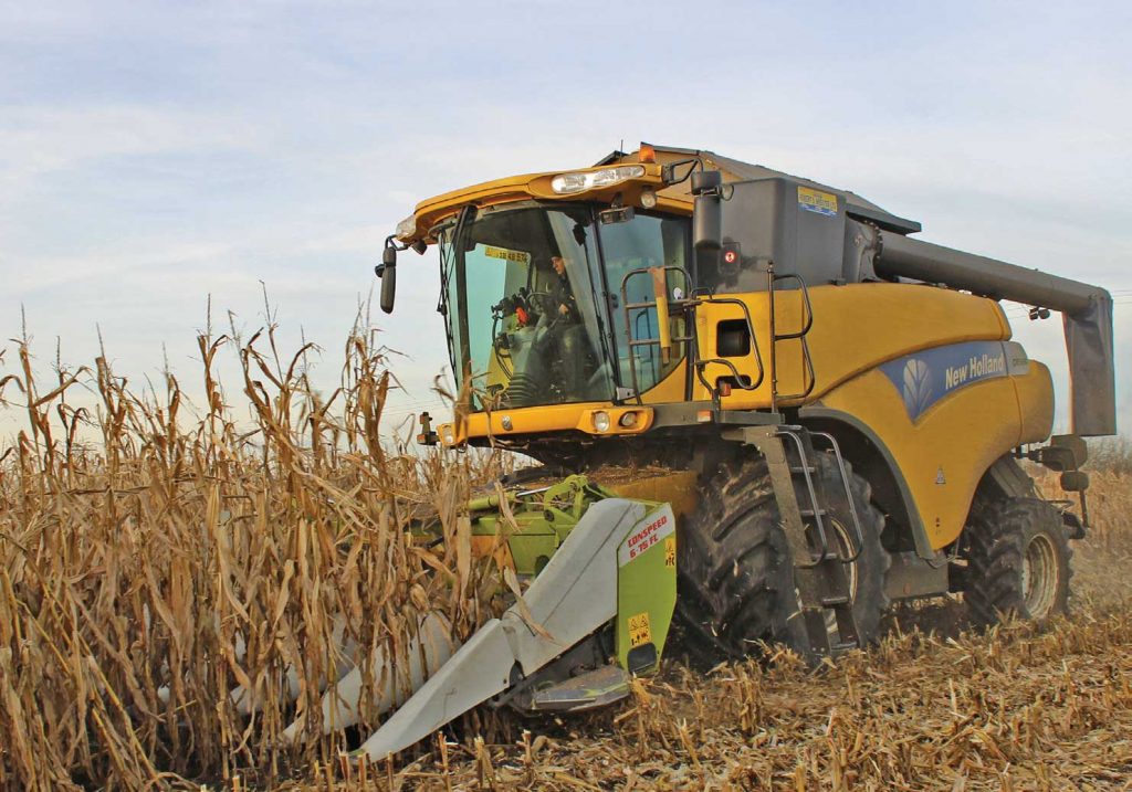 Maize harvesting has been thrown into turmoil due to adverse weather, but there are ways to salvage maximum feed value from the crop, even in its current condition.