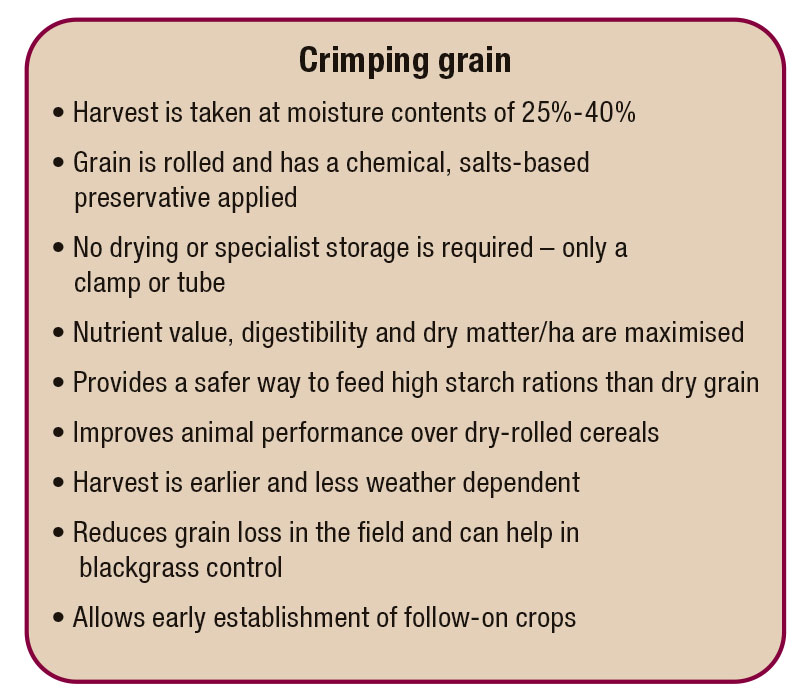 Crimped-grain
