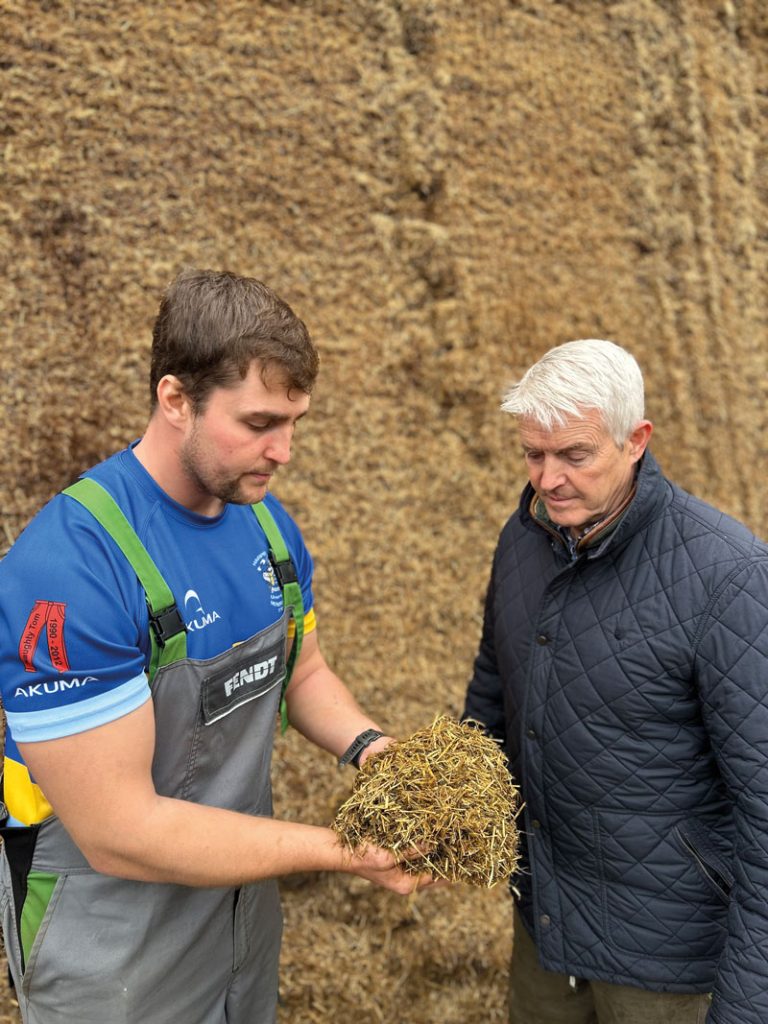 Fraser Scott and his son, Oliver, above with a group of Wagyu, aged around 20 months and below, inspecting the silage.